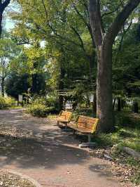 🍃【東京・清澄公園＆庭園（清澄庭園）】下町に息づく自然と歴史、静かな四季の贅沢パークステイ