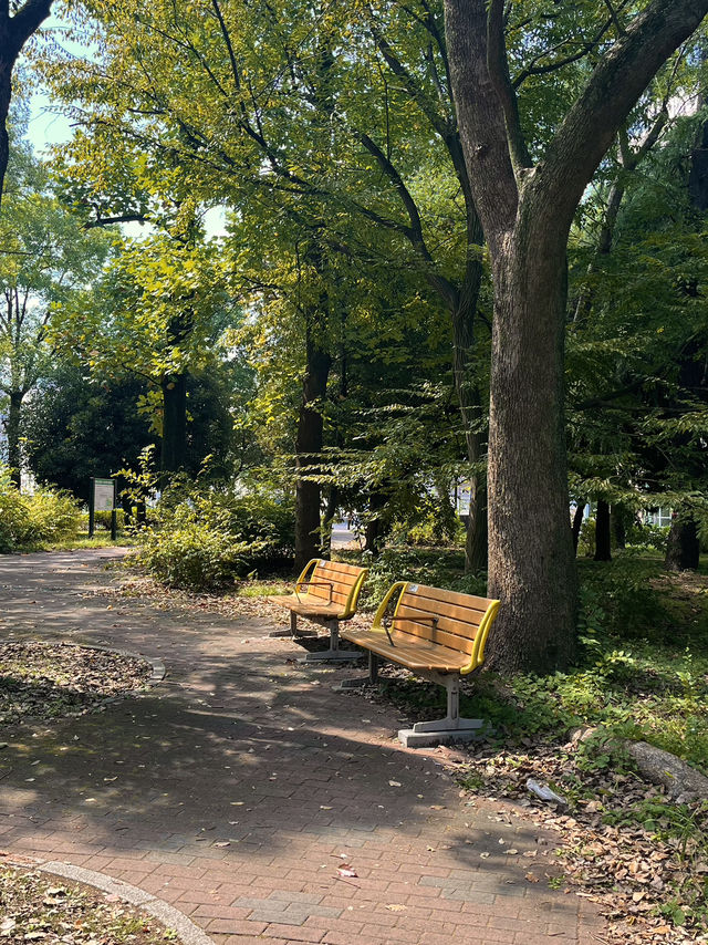 🍃【東京・清澄公園＆庭園（清澄庭園）】下町に息づく自然と歴史、静かな四季の贅沢パークステイ
