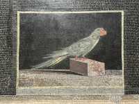 A substitute to Pergammon museum 