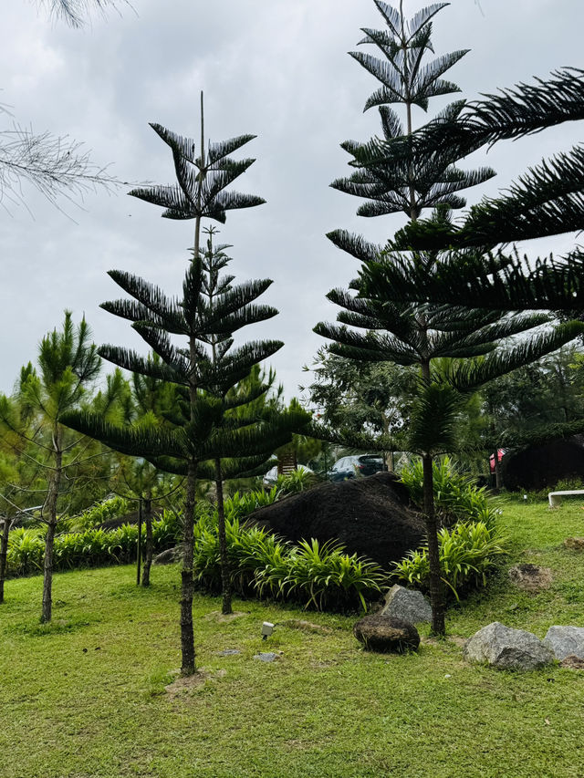 The Qiū Dining: Genting’s Quiet Gem 