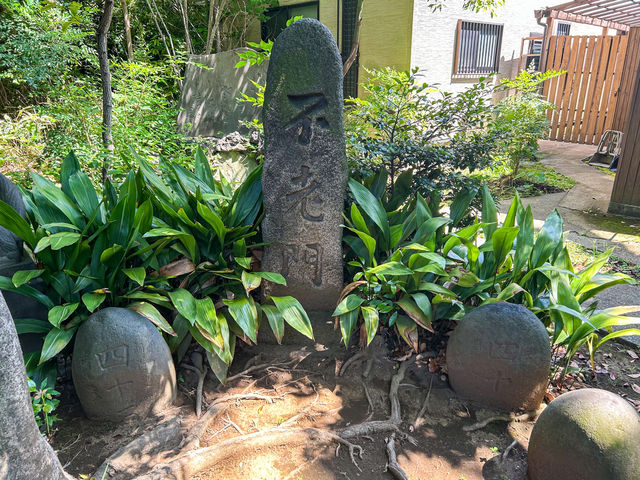 【東京都】 緑豊かな樹々に覆われた交通安全のご利益ある神社『鹿嶋神社』⛩️