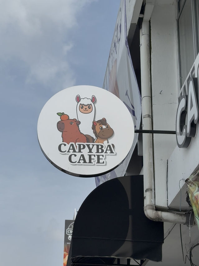 Capyba Cafe Skudai: Feed Alpacas, Meet a Capybara & Try the Cutest Pudding