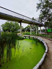 Serenity in the city: A stroll through Benchakiti Park, Bangkok