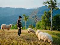 เที่ยวดอยช้าง AKHA FARMVILLE อาข่า ฟาร์มวิลล์