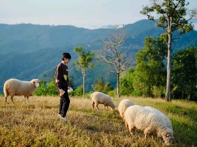 เที่ยวดอยช้าง AKHA FARMVILLE อาข่า ฟาร์มวิลล์