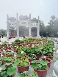 🧘‍♀️✨ A Day on Lantau Island – From the Clouds to the Coast ✨🏝️