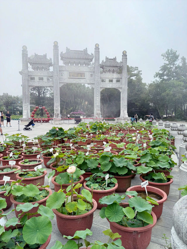 🧘‍♀️✨ A Day on Lantau Island – From the Clouds to the Coast ✨🏝️