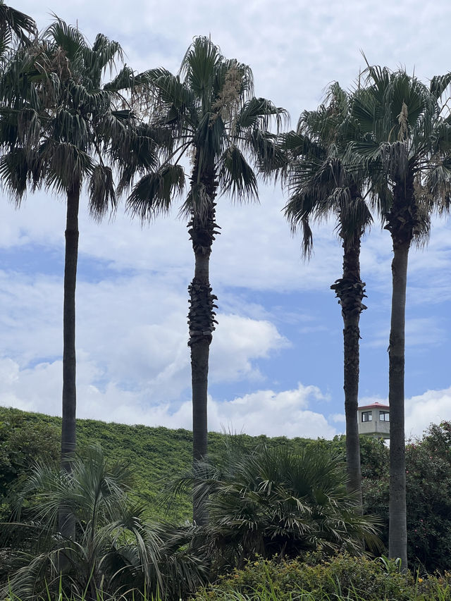 제주도 여행 2일차🌴🌊