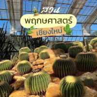 สวนพฤกษศาสตร์ เชียงใหม่🌵✨🍃