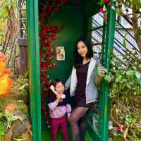 Snow White Magic: A Sydney Icon