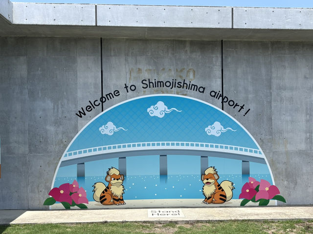 １泊2日自転車で巡る宮古島🏝️🚴