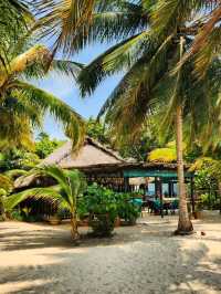 🏝️☀️ Phi Phi Calling! | Cruise to Thailand’s Island Gem 🚤🇹🇭
