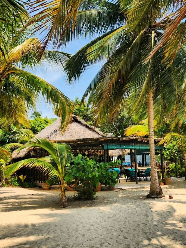 🏝️☀️ Phi Phi Calling! | Cruise to Thailand’s Island Gem 🚤🇹🇭