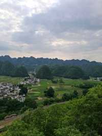 天下山峰何其多  唯有此處峰成林
