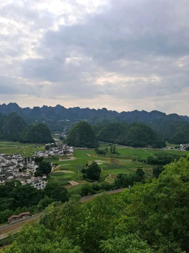 天下山峰何其多  唯有此處峰成林