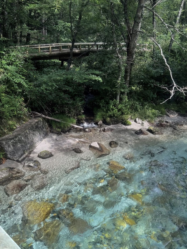 🌄長野・美ヶ原高原｜天空の大自然を感じる絶景スポット