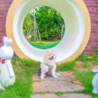 🐇 คาเฟ่บ้านกระต่าย 🛖เหมือนหลุดไปในนิยายย 🪄✨✨