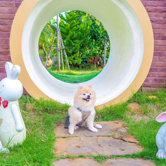 🐇 คาเฟ่บ้านกระต่าย 🛖เหมือนหลุดไปในนิยายย 🪄✨✨