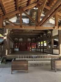 【神々の道をたどる旅🌌】宗像大社で日本古来の信仰に触れる
