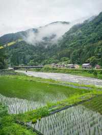 日本山里的自然，富山〔豬谷站〕🐗?