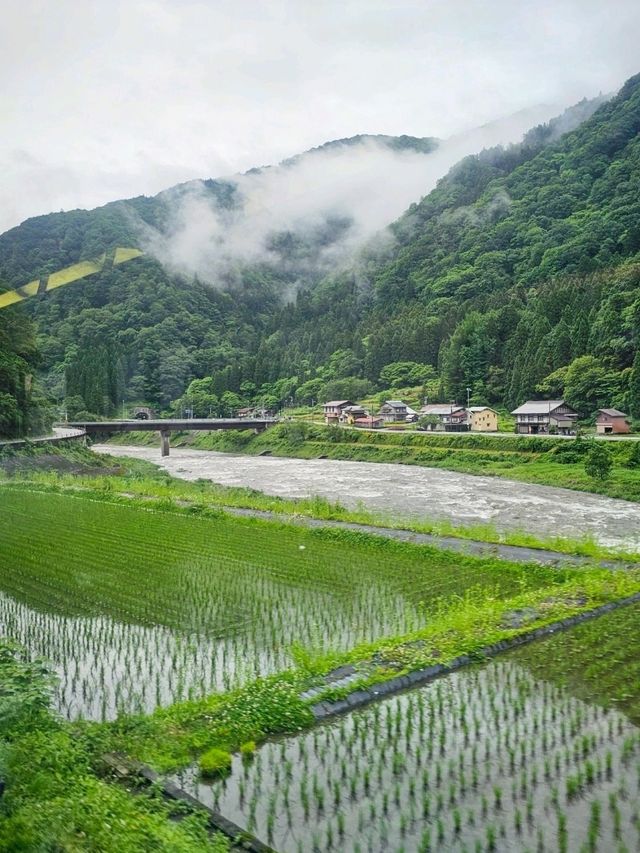 日本山里的自然，富山〔豬谷站〕🐗?