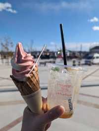 Vegetable Friends Farm for a delightful stop in Saitama Prefecture