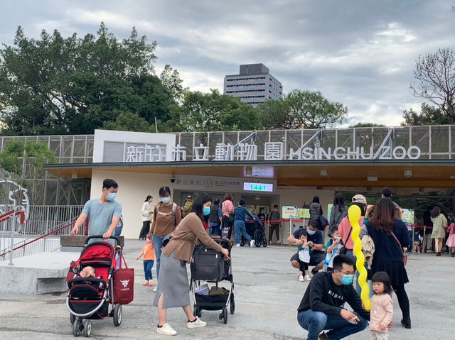 新竹市立動物園：與動物們的悠閒漫步