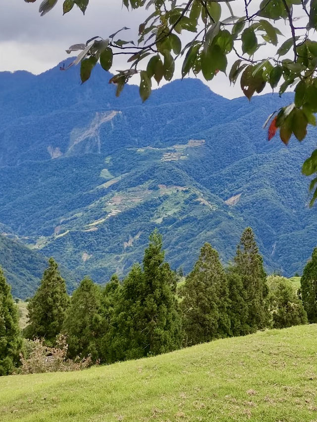 🌄 清境農場全攻略｜綿羊、山景、療癒放空一日遊 🐑🍃