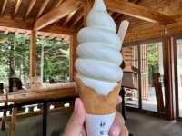 圓山公園登頂