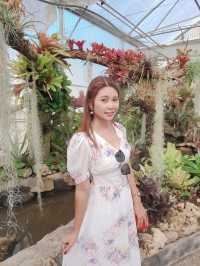 สวนพฤกษศาสตร์สมเด็จพระนางเจ้าสิริกิติ์ เชียงใหม่