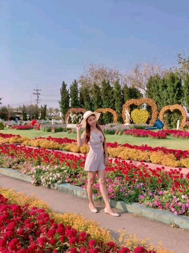 ไร่องุ่นซิลเวอร์เลค พัทยา