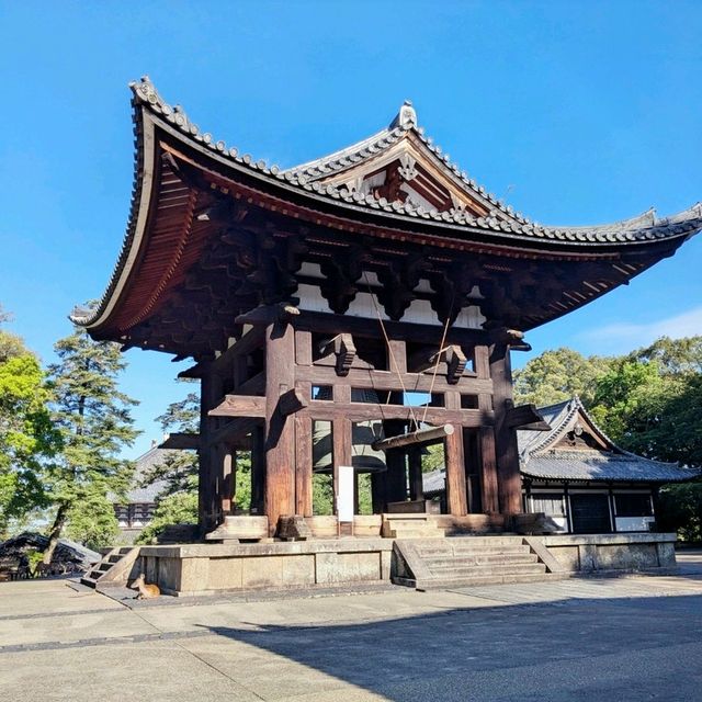 奈良 | 東大寺二月堂，登高遠眺好去處