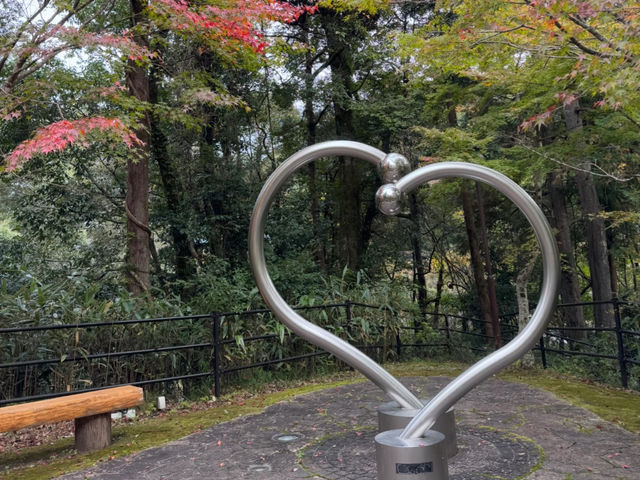 My Izu Mid-Coast Hike with the Tokai Bus 3-Day Pass! 🚶‍♀️♨️