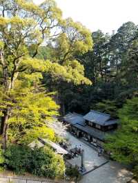 Mountaintop sanctuary