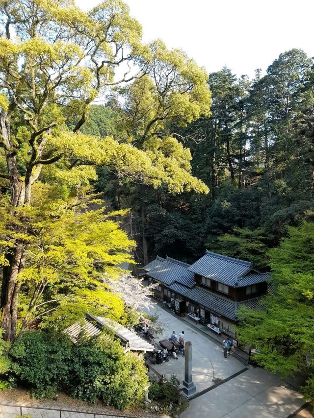 Mountaintop sanctuary