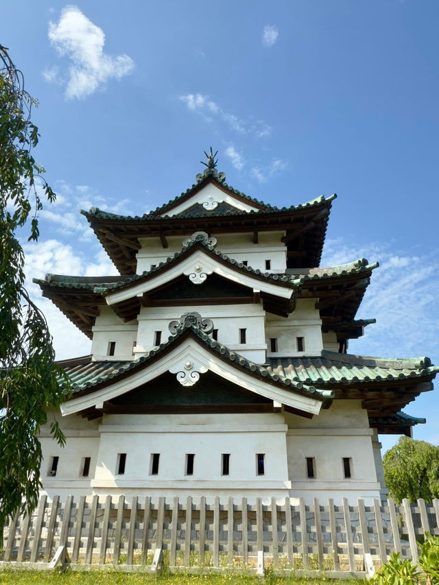 Hirosaki Castle: Where Samurai Meets Cherry Blossom Chaos (And You Get the Perfect Pic)"** 🏯🌸  
