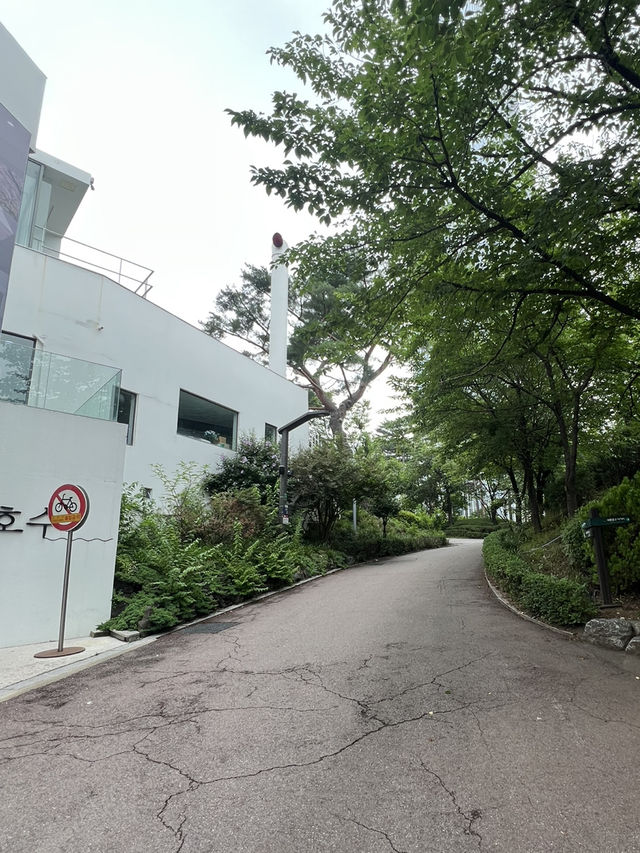 호수 산책로를 걸으며
