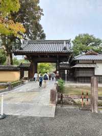 Kyoto's Golden Spell: A Morning Walk Around Kinkaku-ji