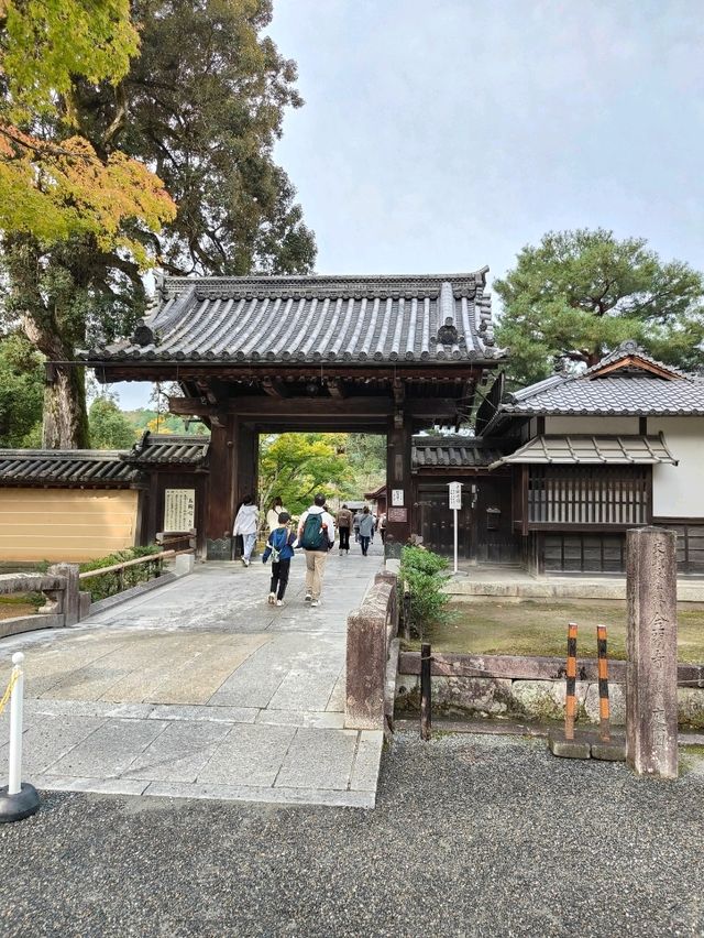 Kyoto's Golden Spell: A Morning Walk Around Kinkaku-ji