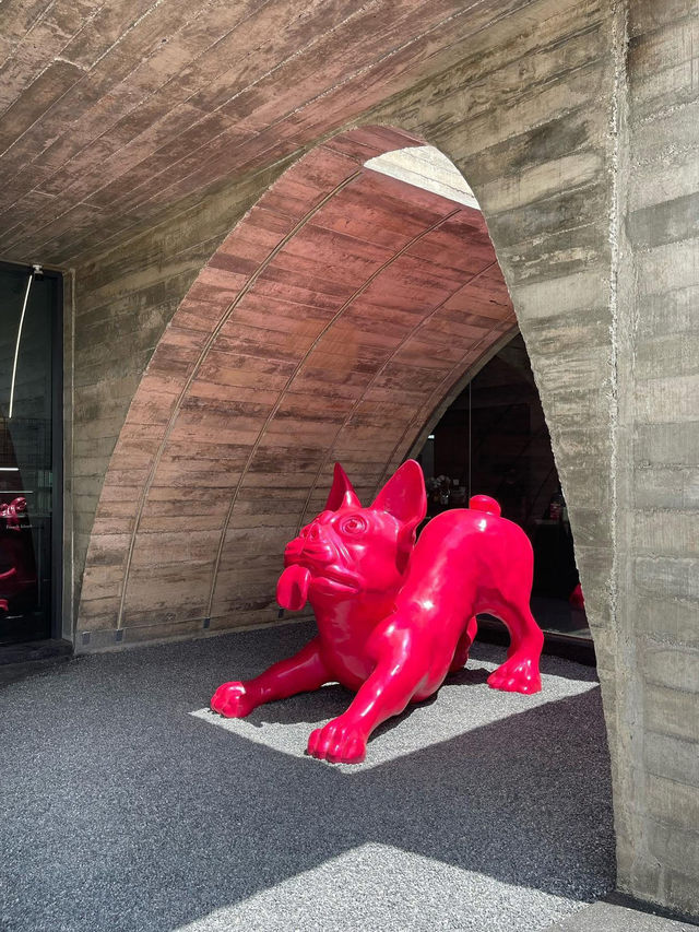 コンクリートのアーチが織りなす“キッチュ”な美しさ✨ クロワッサンのような不規則アーチに包まれて、 ピンクのブルドッグが