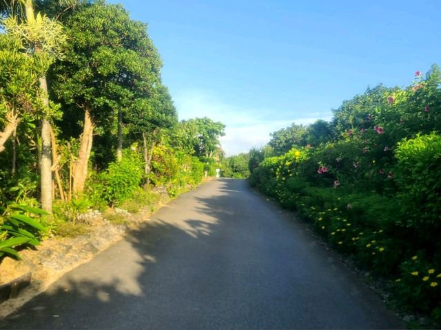 호시노 리조트 리조나레 코하마지마 스위트룸 호시노 리조트 리조나레 코하마지마 스위트룸