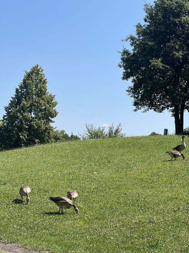 🏞️ Stadtpark Leonberg⛲️