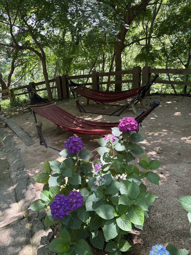 神戶布引香草園：七月的花香之旅 🌸🌞