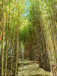Discovering Igorot Stone Kingdom: A Fairytale Fortress in Baguio