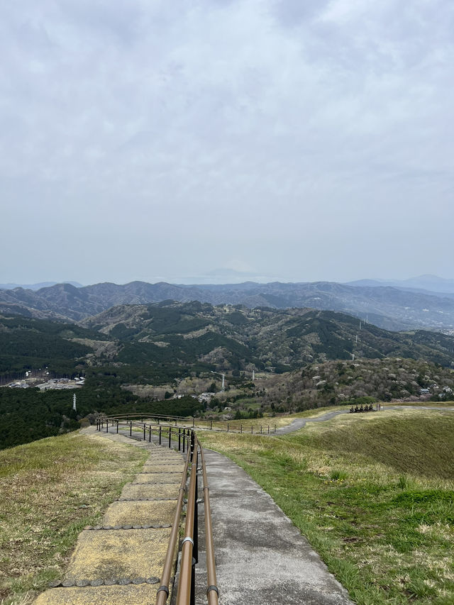 *壯觀*、*全景*、*神聖*、*夢幻*。🌿  你最想親身感受哪一種感覺？