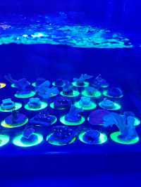 “Dive Into Wonder with Aquaria KLCC This Summer”