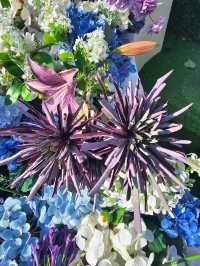 Elegance in Bloom in WF Central Gardens