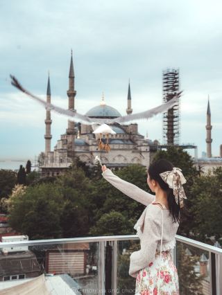 Must-see in Istanbul! Free Seagull Terrace\\Seven Hills Restaurant// Check in the Blue Mosque and Hagia Sophia at the same time