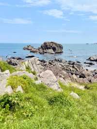 Ocean & Meadows Unbound: A Summer Walk Along Tanesashi Coast