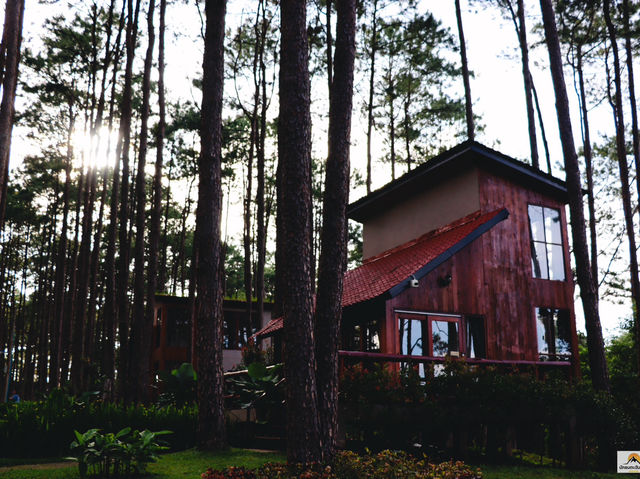 Doi Bo Luang Forest Park